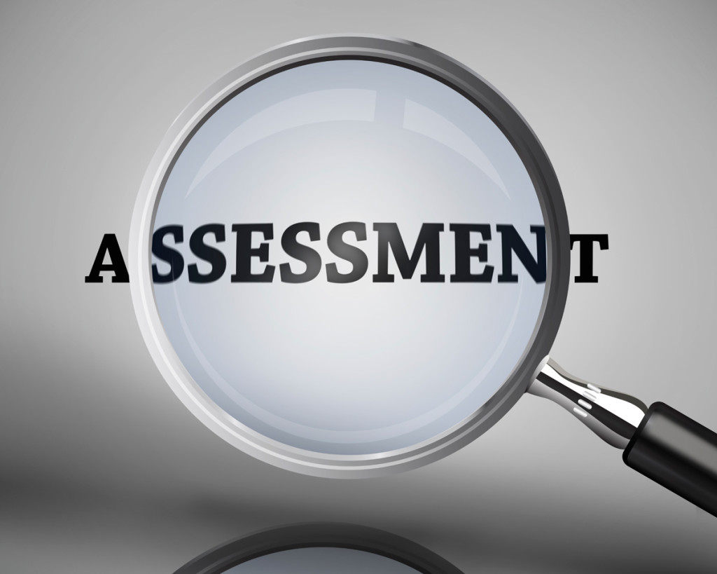 Assessment Vroen nl